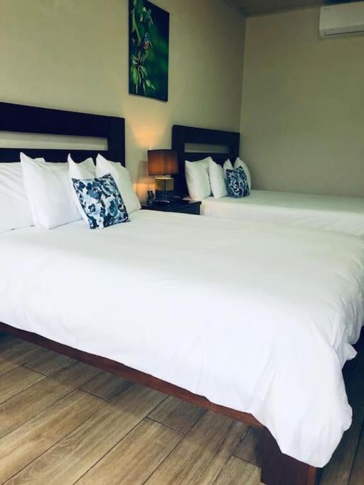 Lisa Loft Boutique Apartment La Fortuna Dış mekan fotoğraf