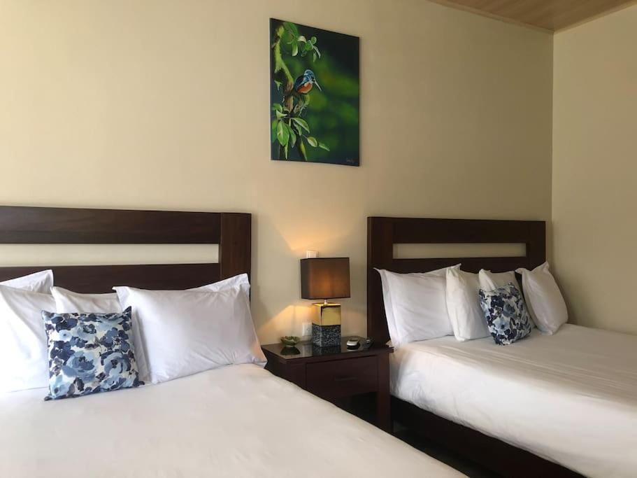 Lisa Loft Boutique Apartment La Fortuna Dış mekan fotoğraf